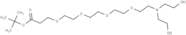 N,N-Diethanol amine-PEG4-Boc