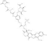 MAC glucuronide α-hydroxy lactone-linked SN-38