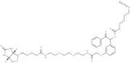 UV Cleavable Biotin-PEG2-Azide