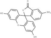 5-Aminofluorescein