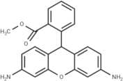 Dihydrorhodamine 123