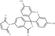 Fluorescein-5-maleimide