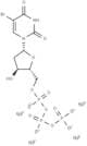5-BrdUTP sodium salt