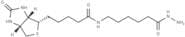 Biotin LC hydrazide