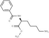 Bz-Lys-OMe