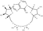 Cyclic ADP-ribose