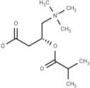 Isobutyryl-L-carnitine