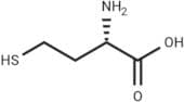 L-Homocysteine