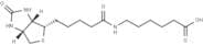 N-Biotinyl-6-aminohexanoic acid