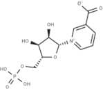 Nicotinic acid mononucleotide