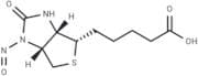 Nitrosobiotin