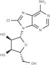 8-Chloroadenosine
