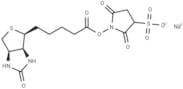 Sulfo-NHS-Biotin
