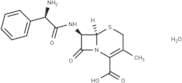 Cephalexin monohydrate