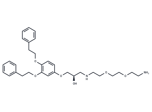 p62-ZZ Ligand-Linker Conjugate 1