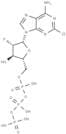 Clofarabine-5'-triphosphate