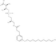 LysoPalloT-NH-amide-C3-ph-m-O-C11