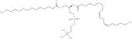 1-Myristoyl-2-Linoleoyl-sn-glycero-3-PC