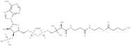 Pentanoyl Coenzyme A