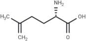 2-Amino-5-methyl-5-hexenoic acid