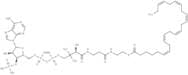 (6Z,9Z,12Z,15Z,18Z,21Z)-Tetracosahexaenoyl-CoA