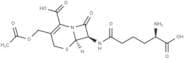 Cephalosporin C