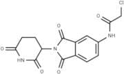 5-(2-Chloroacetamide) thalidomide