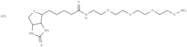 (Rac)-Biotin-PEG3-oxyamine hydrochloride