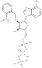 2'-(2-Nitrobenzyl)-ATP