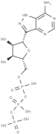 Formycin triphosphate