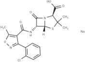 Cloxacillin Sodium