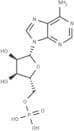 Adenosine monophosphate