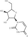 Uridine