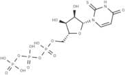 2-ThioUTP tetrasodium salt
