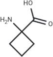 1-Aminocyclobutanecarboxylic acid