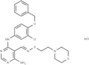 JNJ28871063 hydrochloride