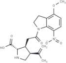 MNI caged kainic acid