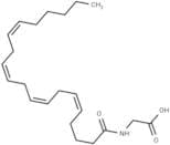N-Arachidonylglycine