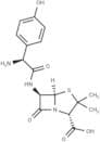 Amoxicillin, L-