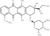 Doxorubicinol
