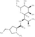 Lincomycin-B