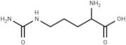 2-Amino-5-ureidopentanoic acid