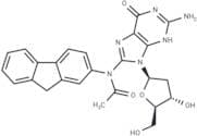 Acetylaminofluorene-dG