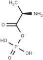 Alanylphosphate
