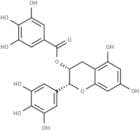 (-)-Epigallocatechin Gallate