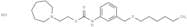 Carbanilic acid, m-((hexyloxy)methyl)-, 2-(hexahydro-1H-azepin-1-yl)ethyl ester, hydrochloride