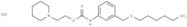 Carbanilic acid, m-((hexyloxy)methyl)-, 2-piperidinoethyl ester, hydrochloride