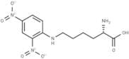 ε-Dinitrophenyllysine