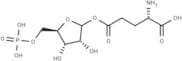 Glutamyl ribose 5-phosphate