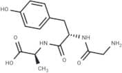 Glycyl-tyrosyl-alanine